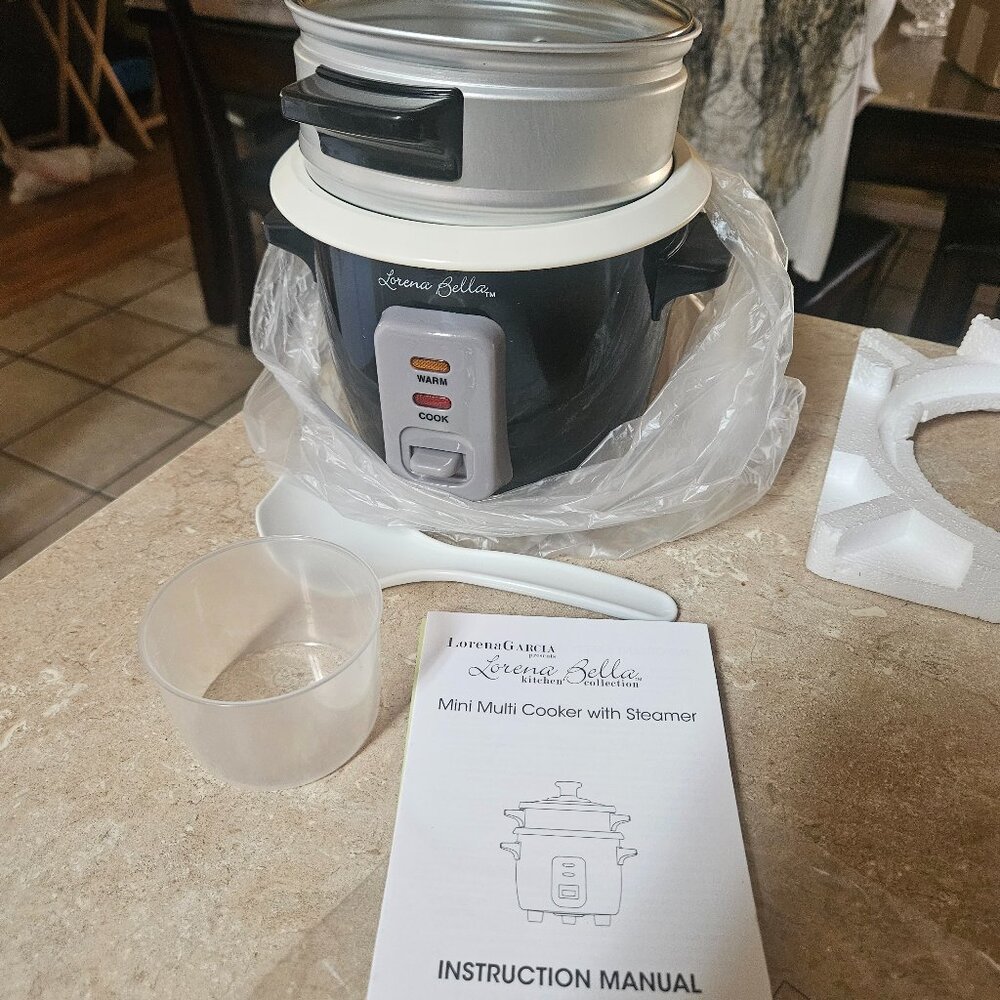 Mini cooker and steamer